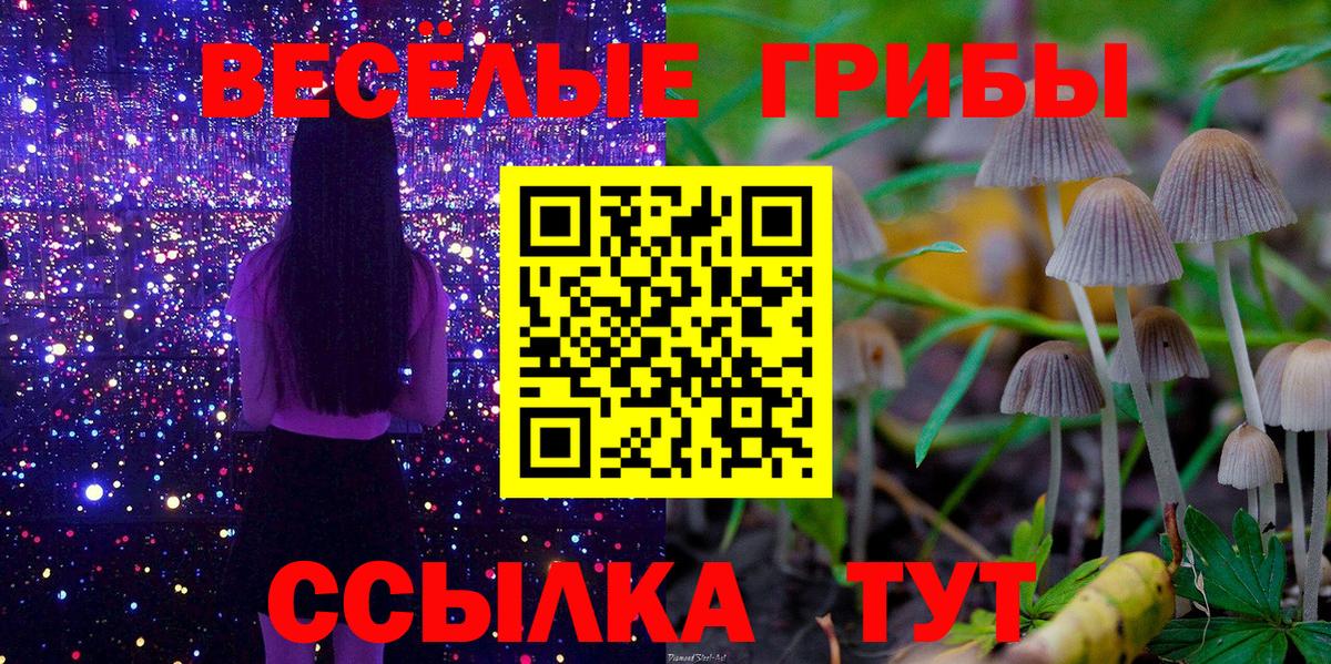 Псилоцибиновые грибы Psilocybine cubensis Верхняя Пышма