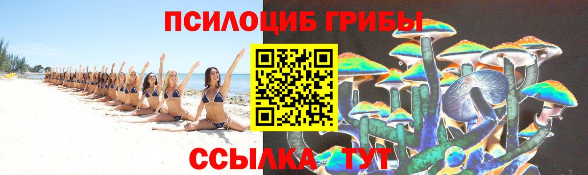 Верхняя Пышма  Галлюциногенные грибы Psilocybine cubensis  Вход с VPN 